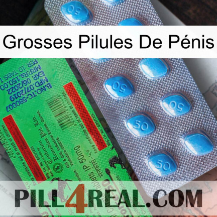 Grosses Pilules De Pénis new03
